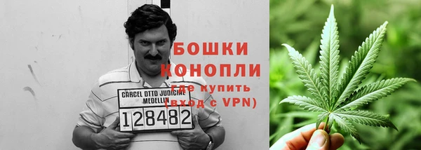 ПСИЛОЦИБИНОВЫЕ ГРИБЫ Кинешма