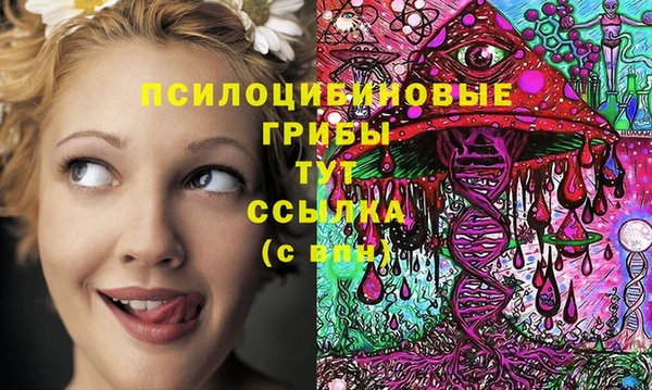 spice Киреевск