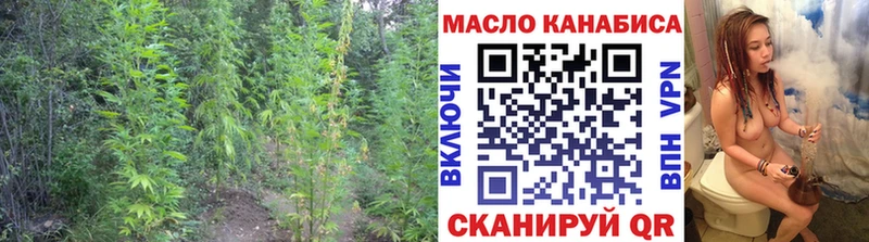 Купить закладки  Бакал  Дистиллят ТГК жижа 
