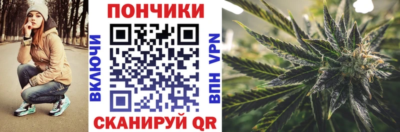 Купить где  Бакал  Конопля ГИДРОПОН 